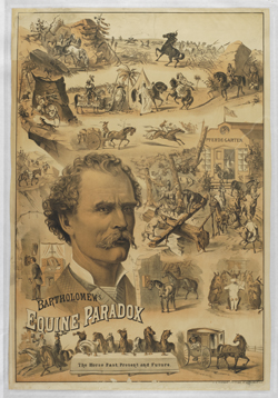 Poster for Prof. George Bartholomew's "Equine Paradox!"