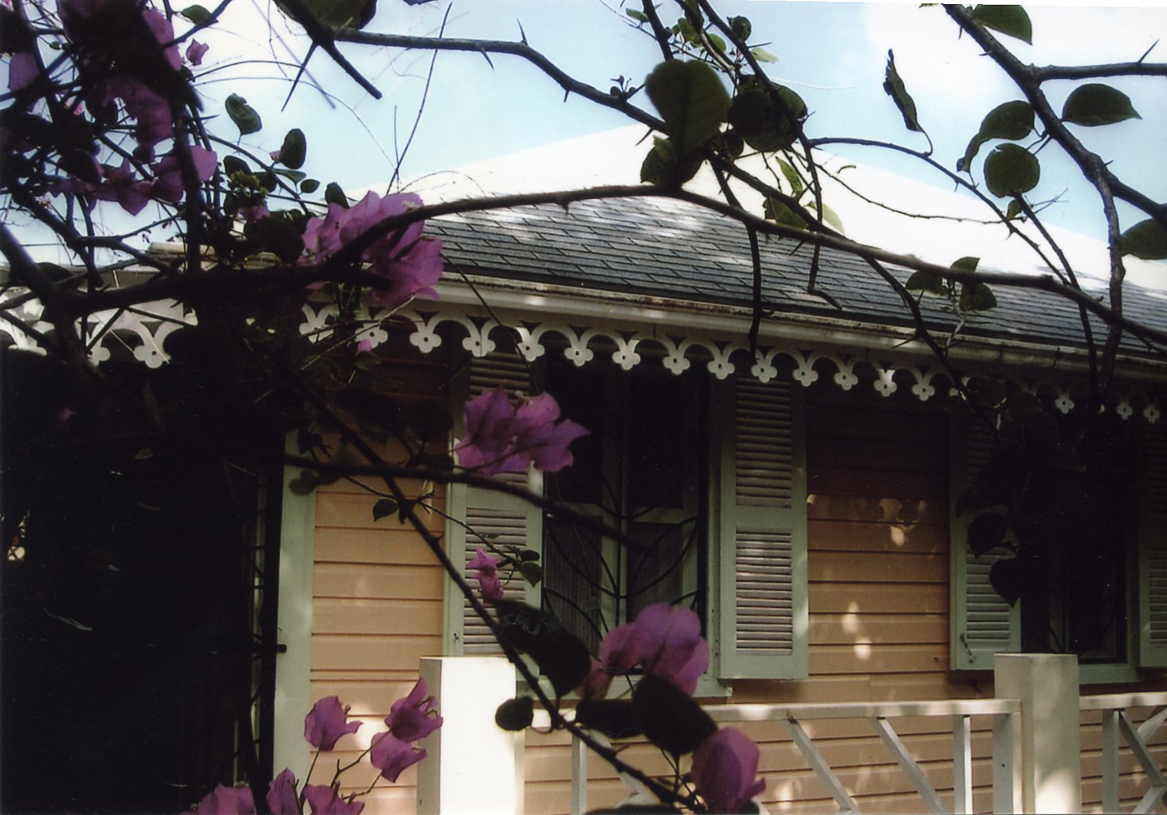 Nevis house