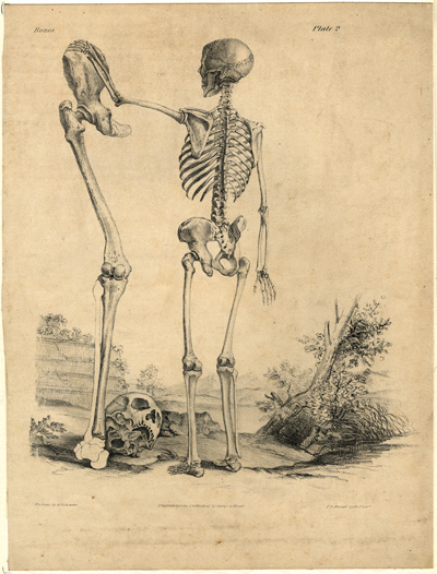 skeleton engraving with leg bones and skull
