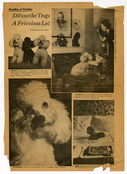 "Oodles of Poodles: Dilworth's Dogs A Frivolous Lot," from Philadelphia Daily News, October 2, 1956.