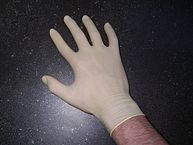 Color photograph of a hand wearing a tight-fitting white latex glove on a dark background. Image credit: By — Melkom - — Melkom, CC BY-SA 3.0, https://commons.wikimedia.org/w/index.php?curid=43131